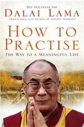 Book cover: How To Practise, by Dalai Lama (preview)