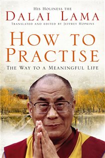 Book cover: How To Practise, by Dalai Lama (preview)
