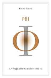 Book cover: Phi, by Giulio Tononi (preview)