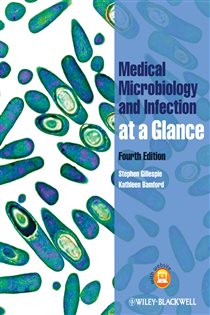 Book cover: Medical Microbiology and Infection at a Glance, by Stephen H. Gillespie (preview)