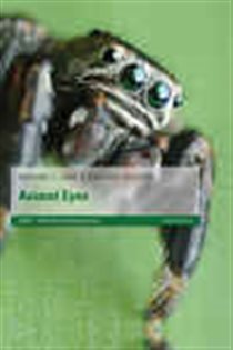 Book cover: Animal Eyes, by Michael F. Land (preview)