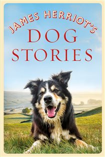 Book cover: James Herriot's Dog Stories, by James Herriot (preview)