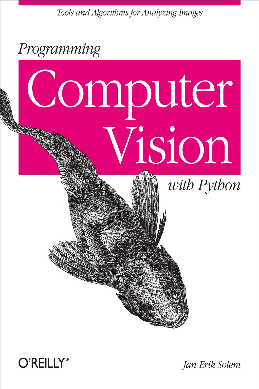Programming Computer Vision with Python by Jan Erik Solem (ebook)