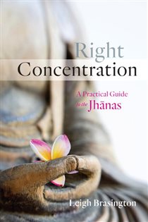 Book cover: Right Concentration, by Leigh Brasington (preview)