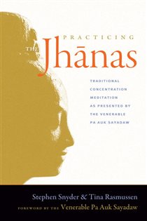 Book cover: Practicing the Jhanas, by Stephen Snyder (preview)