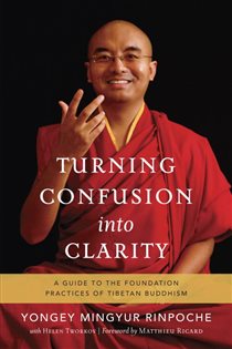Book cover: Turning Confusion into Clarity, by Yongey Mingyur Rinpoche (preview)