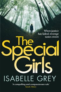 Book cover: The Special Girls, by Isabelle Grey (preview)
