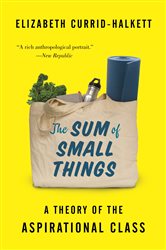 Book cover: The Sum of Small Things, by Elizabeth Currid-Halkett (preview)