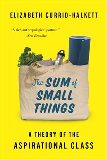 Book cover: The Sum of Small Things, by Elizabeth Currid-Halkett (preview)