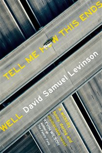 Book cover: Tell Me How This Ends Well, by David Samuel Levinson (preview)
