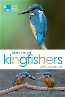 Book cover: RSPB Spotlight Kingfishers, by David Chandler (preview)