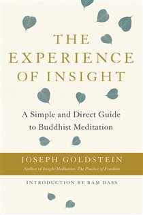 Book cover: The Experience of Insight, by Joseph Goldstein (preview)