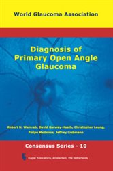 Diagnosis of Primary Open Angle Glaucoma