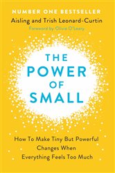 Book cover: The Power of Small, by Aisling Leonard-Curtin (preview)