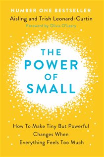 Book cover: The Power of Small, by Aisling Leonard-Curtin (preview)