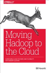 Moving Hadoop to the Cloud: Harnessing Cloud Features and Flexibility for Hadoop Clusters