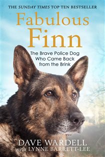 Book cover: Fabulous Finn, by Dave Wardell (preview)
