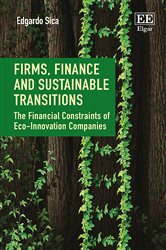 Firms, Finance and Sustainable Transitions: The Financial Constraints of Eco-Innovation Companies