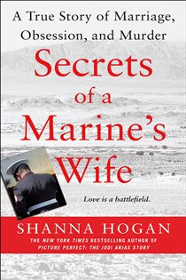 Book cover: Secrets of a Marine's Wife, by Shanna Hogan (preview)
