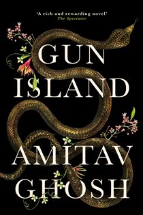 Book cover: Gun Island, by Amitav Ghosh (preview)