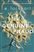 Young Adult Fiction Image 3
