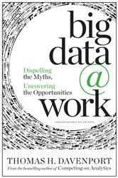 Book cover: Big Data at Work, by Thomas Davenport (preview)