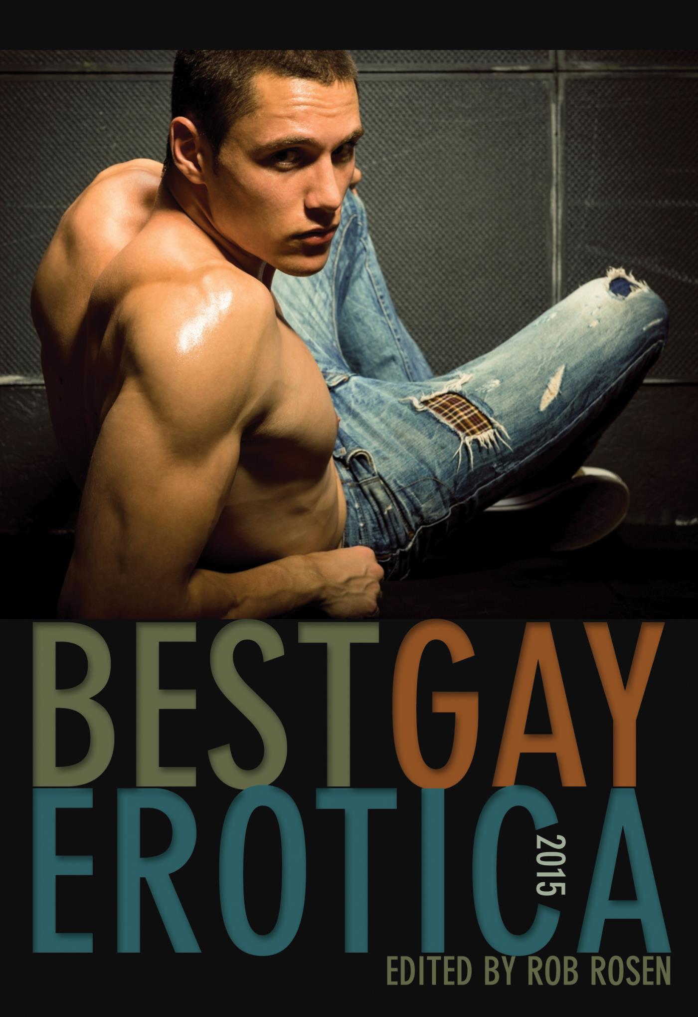 Best Gay Erotica 2015