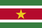Surinam flag