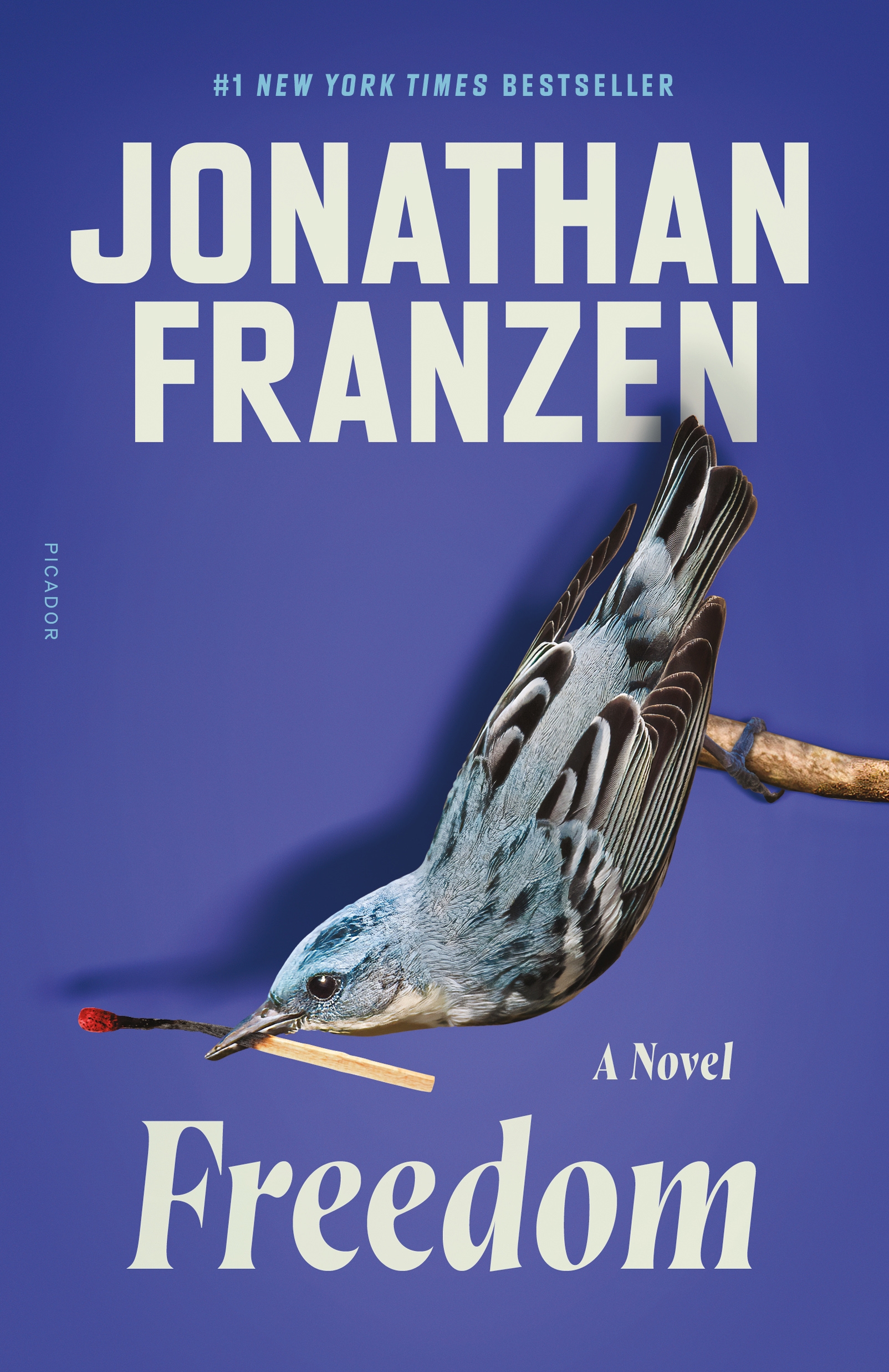 Freedom By Franzen Jonathan Ebook