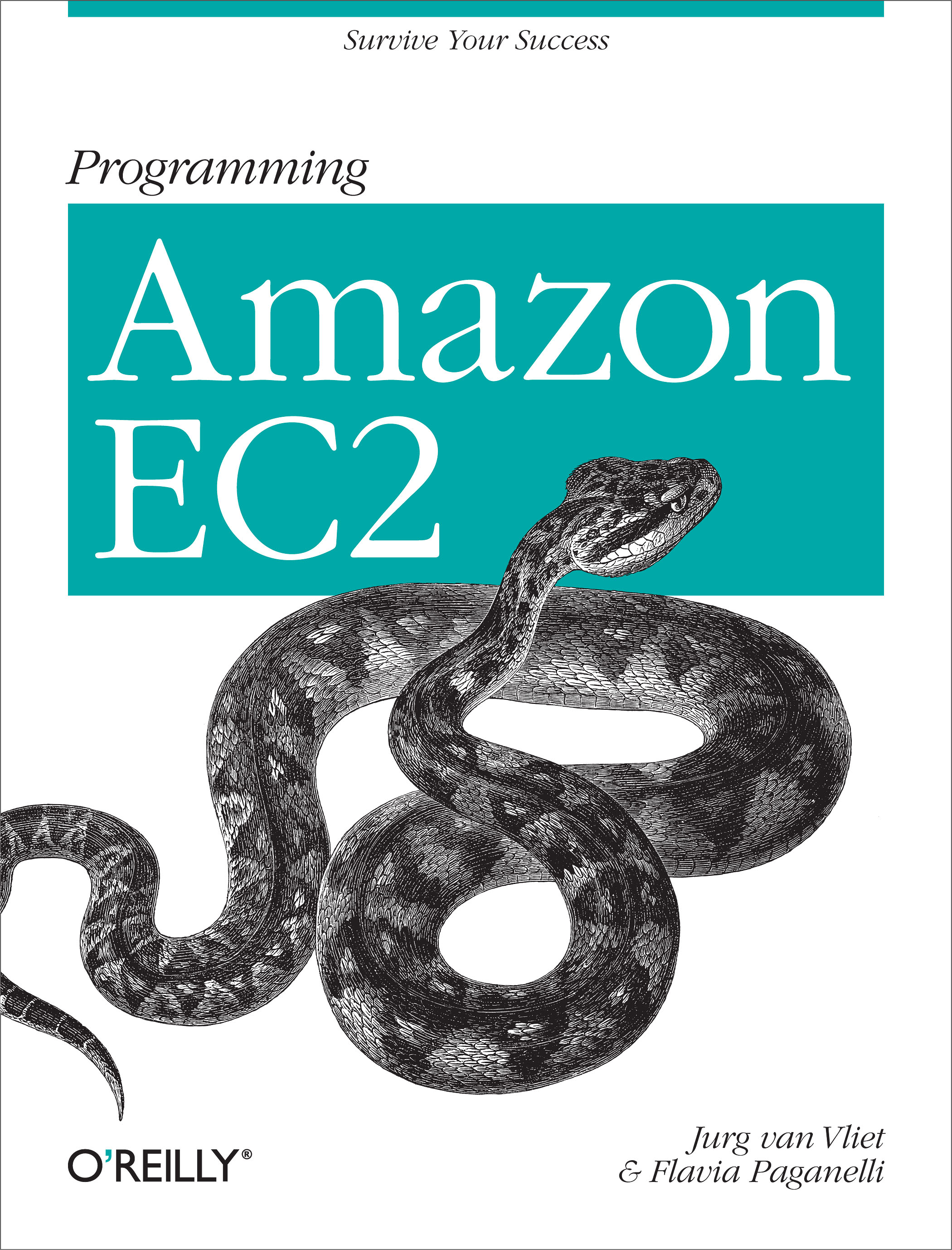 Amazon programming