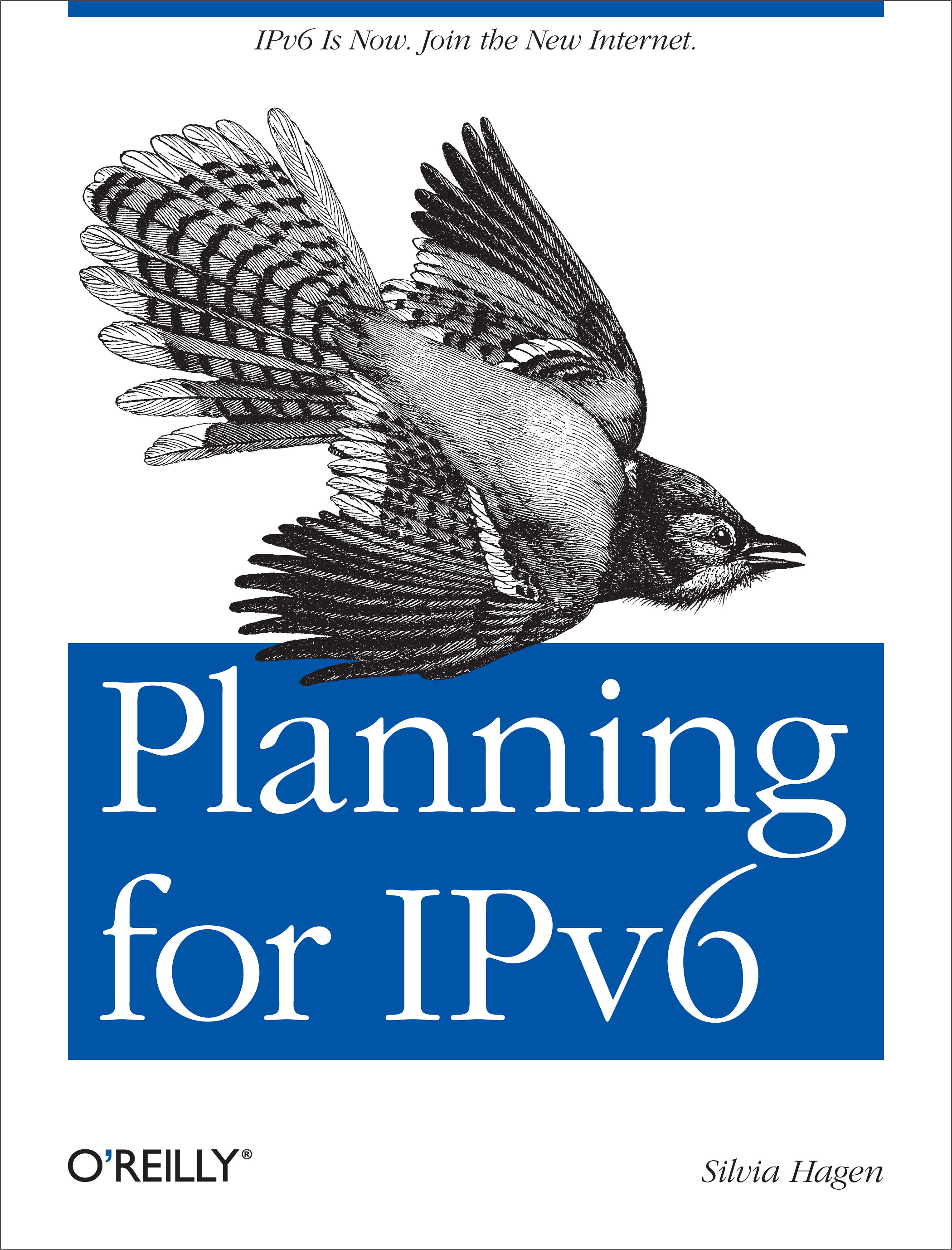Planning for IPv6 - 15-24.99
