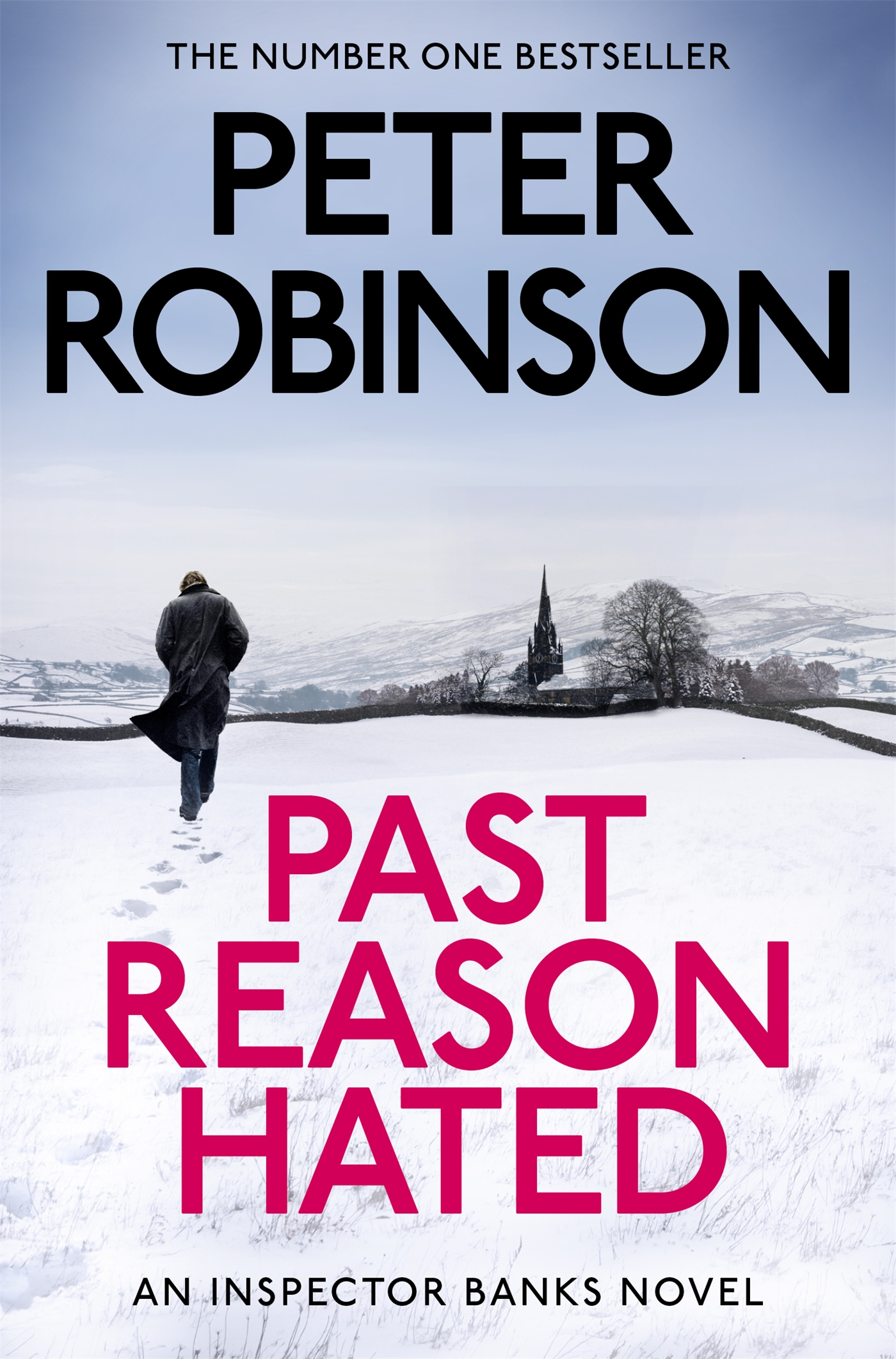 Past Reason Hated