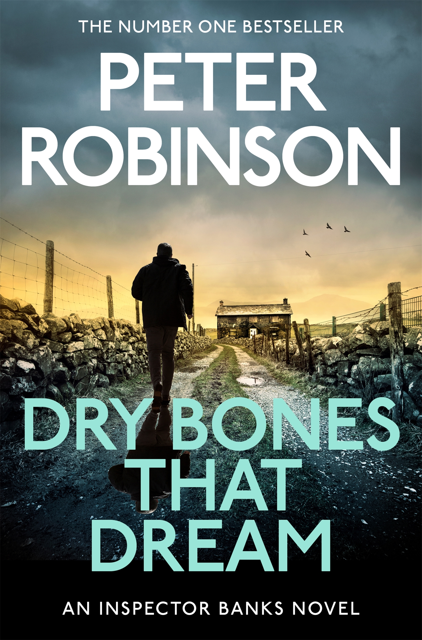 Dry Bones That Dream