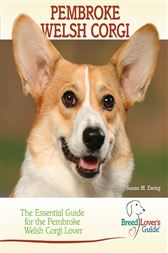 corgi guide