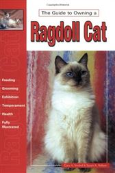 owning a ragdoll cat