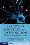 Executive Function and Dysfunction: Identification, Assessment and Treatment