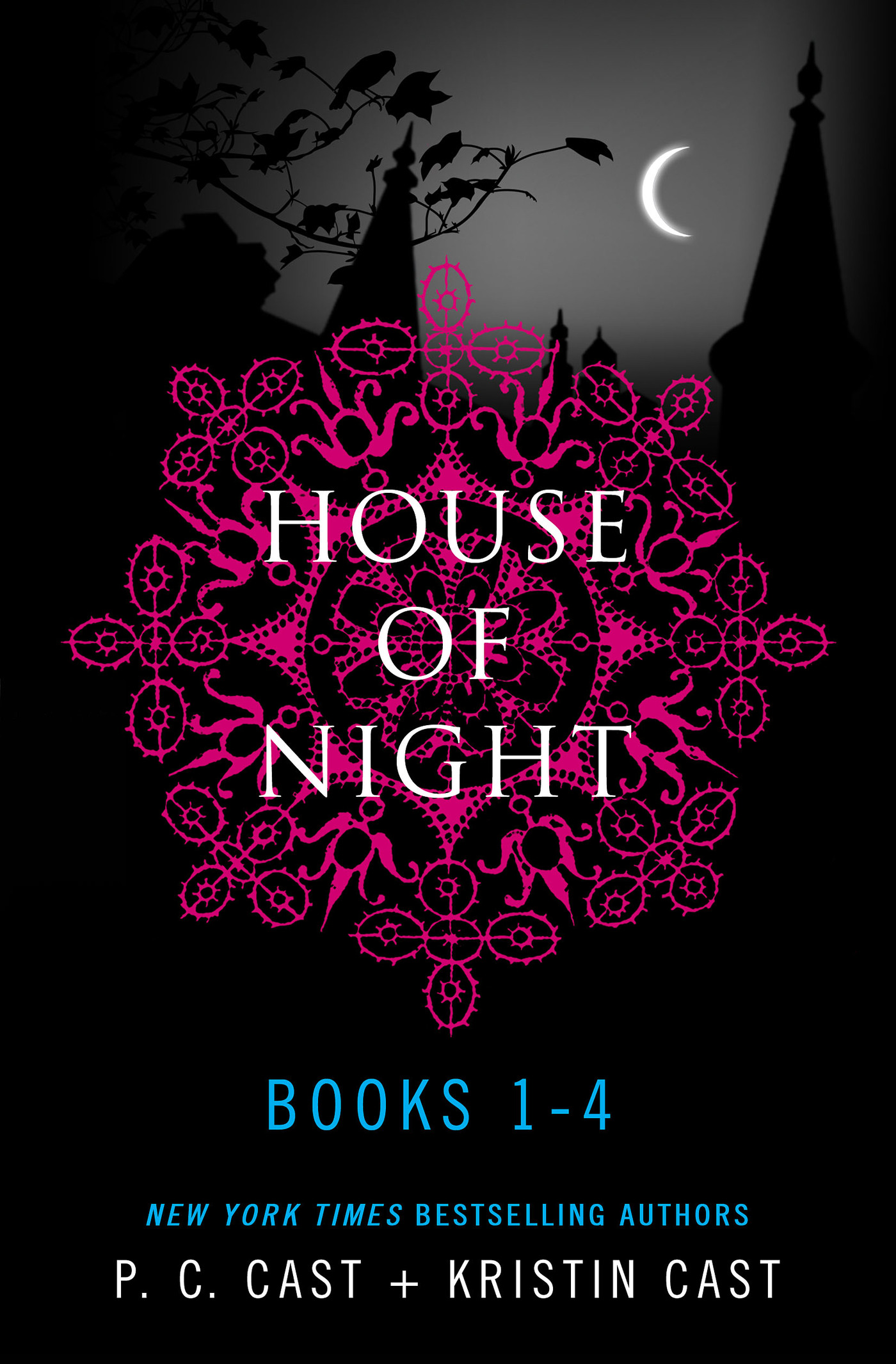 House of Night Series Books 1-4