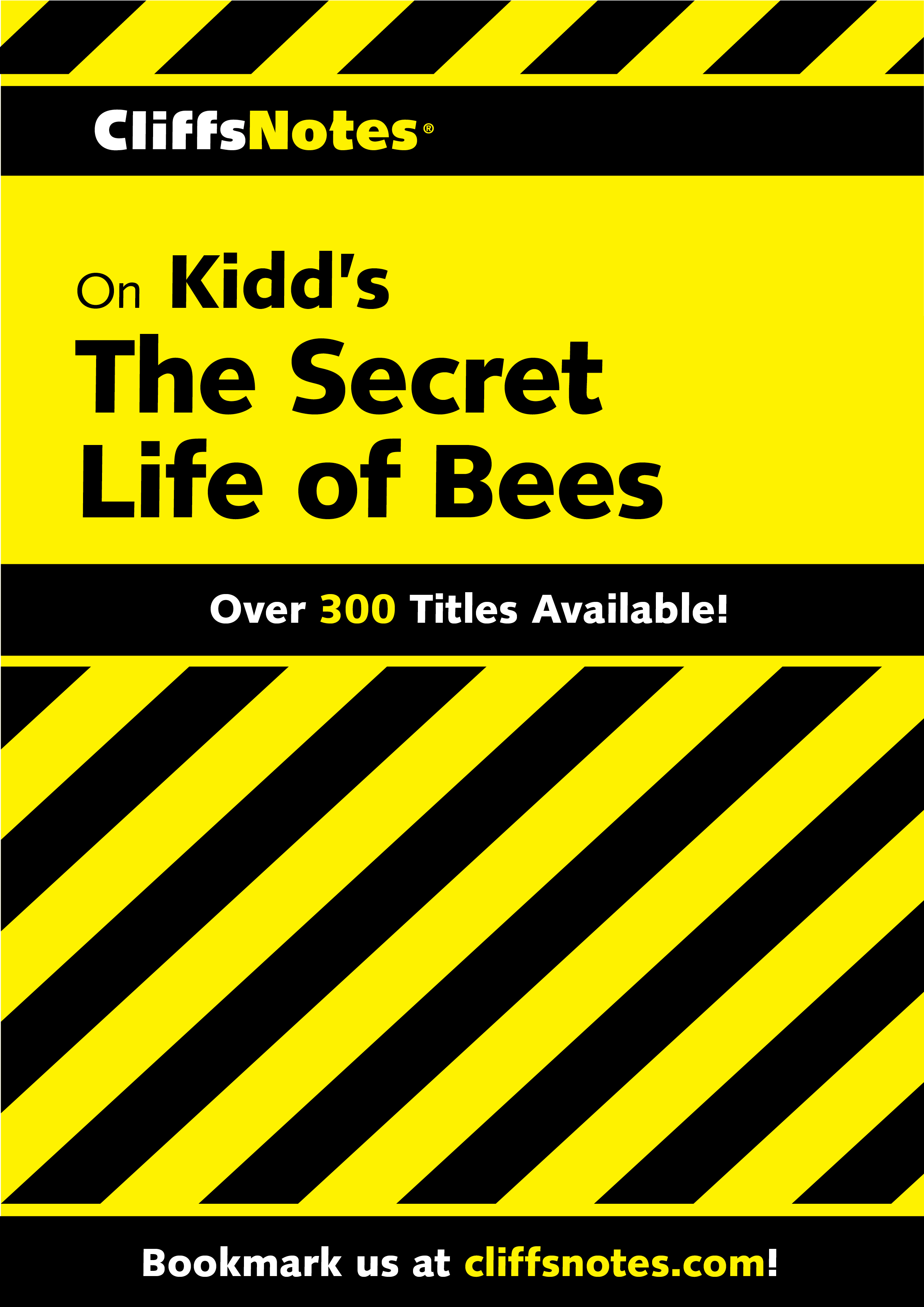 CliffsNotes on Kidd's The Secret Life of Bees