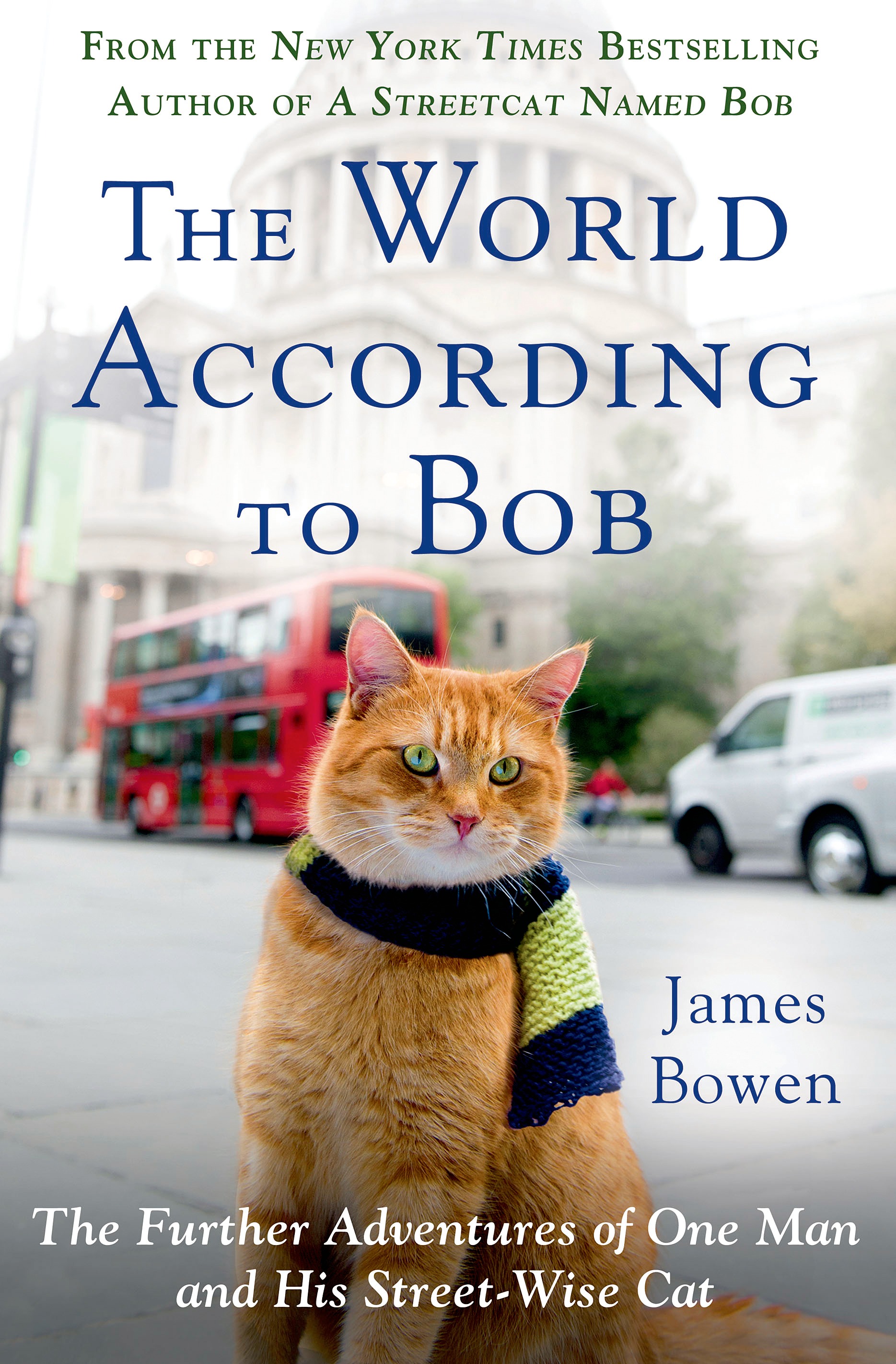 The World According To Bob