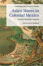 Asian Slaves In Colonial Mexico By Seijas Tatiana Ebook