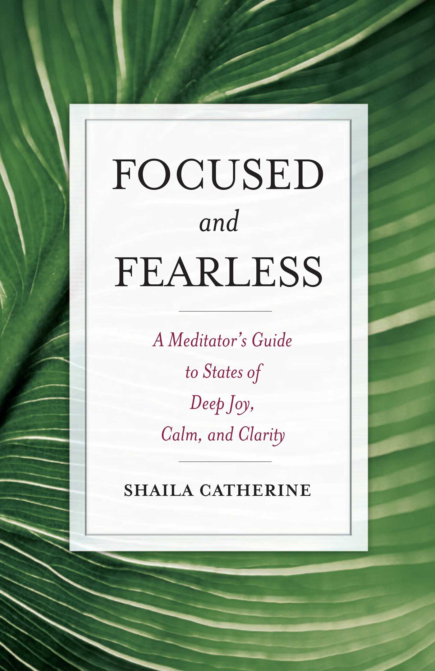 Focused and Fearless