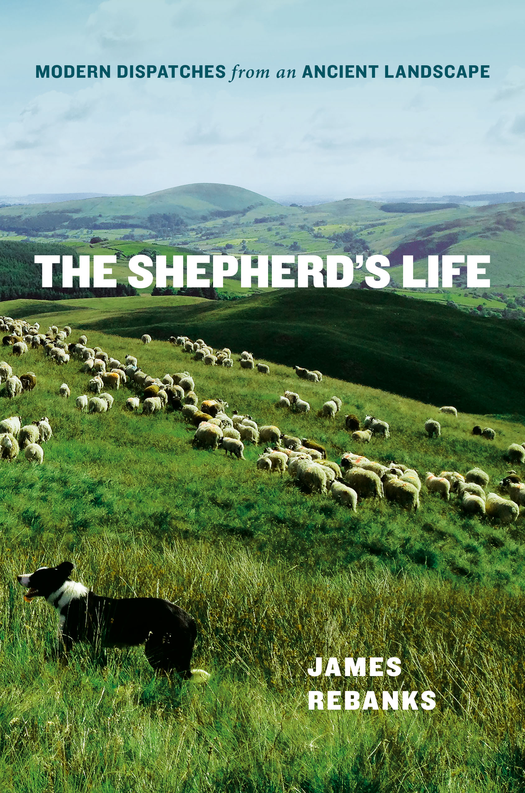 The Shepherd's Life - <10