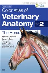 Download Color Atlas Of Veterinary Anatomy Volume 2 The Horse E Book