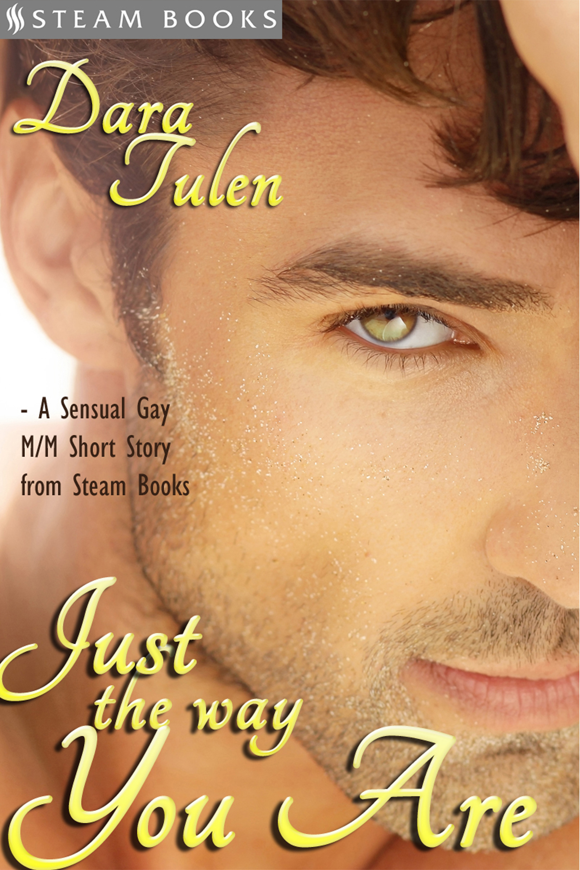 Gay erotic romance