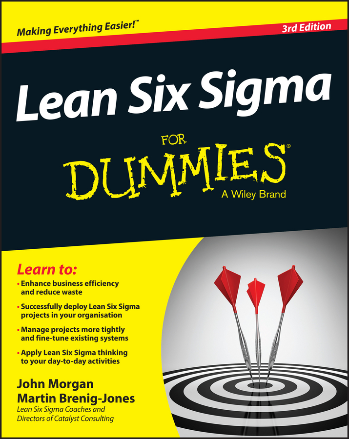 Lean Six Sigma For Dummies - 15-24.99