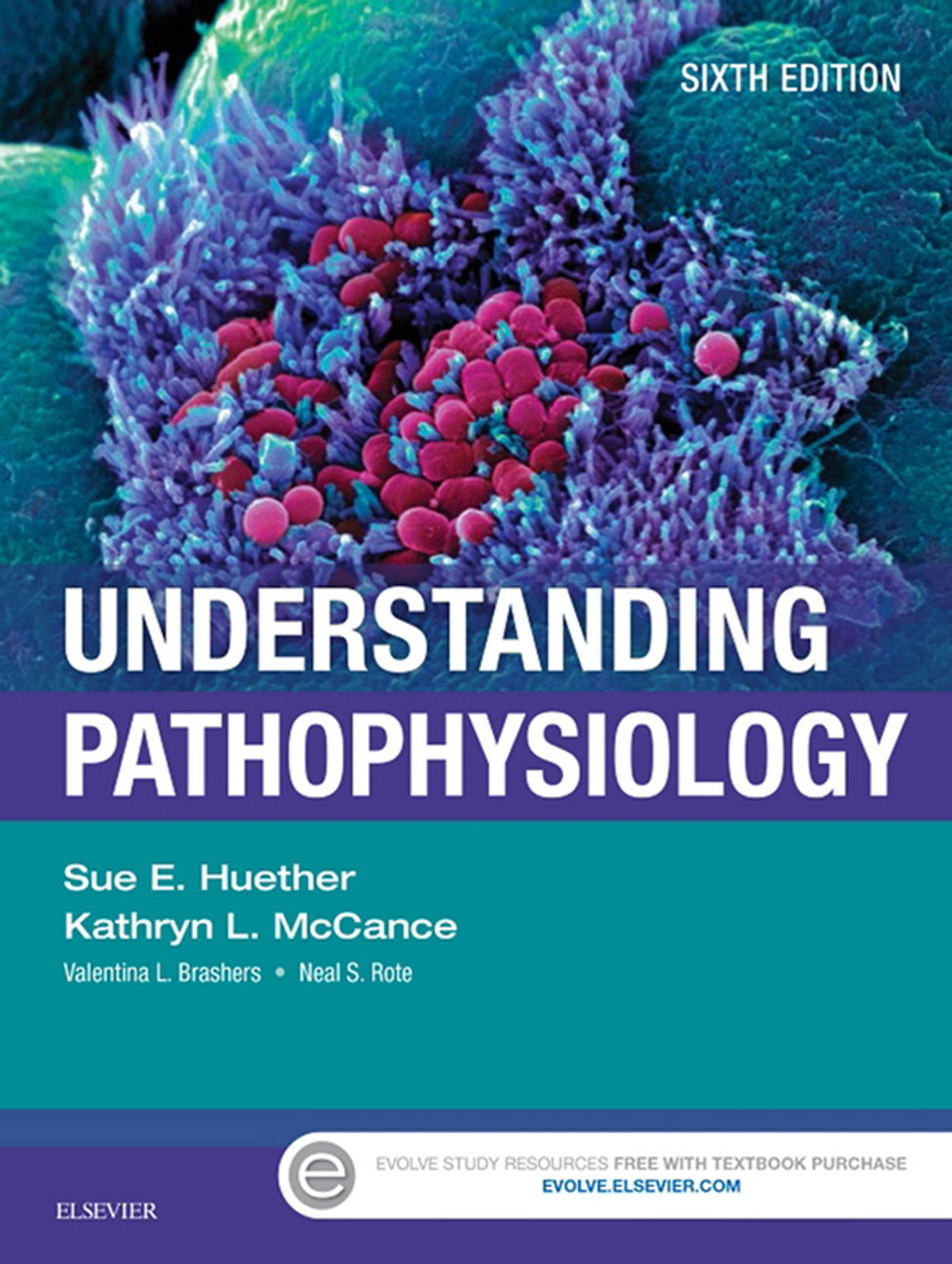 Understanding Pathophysiology - E-Book - 50-99.99