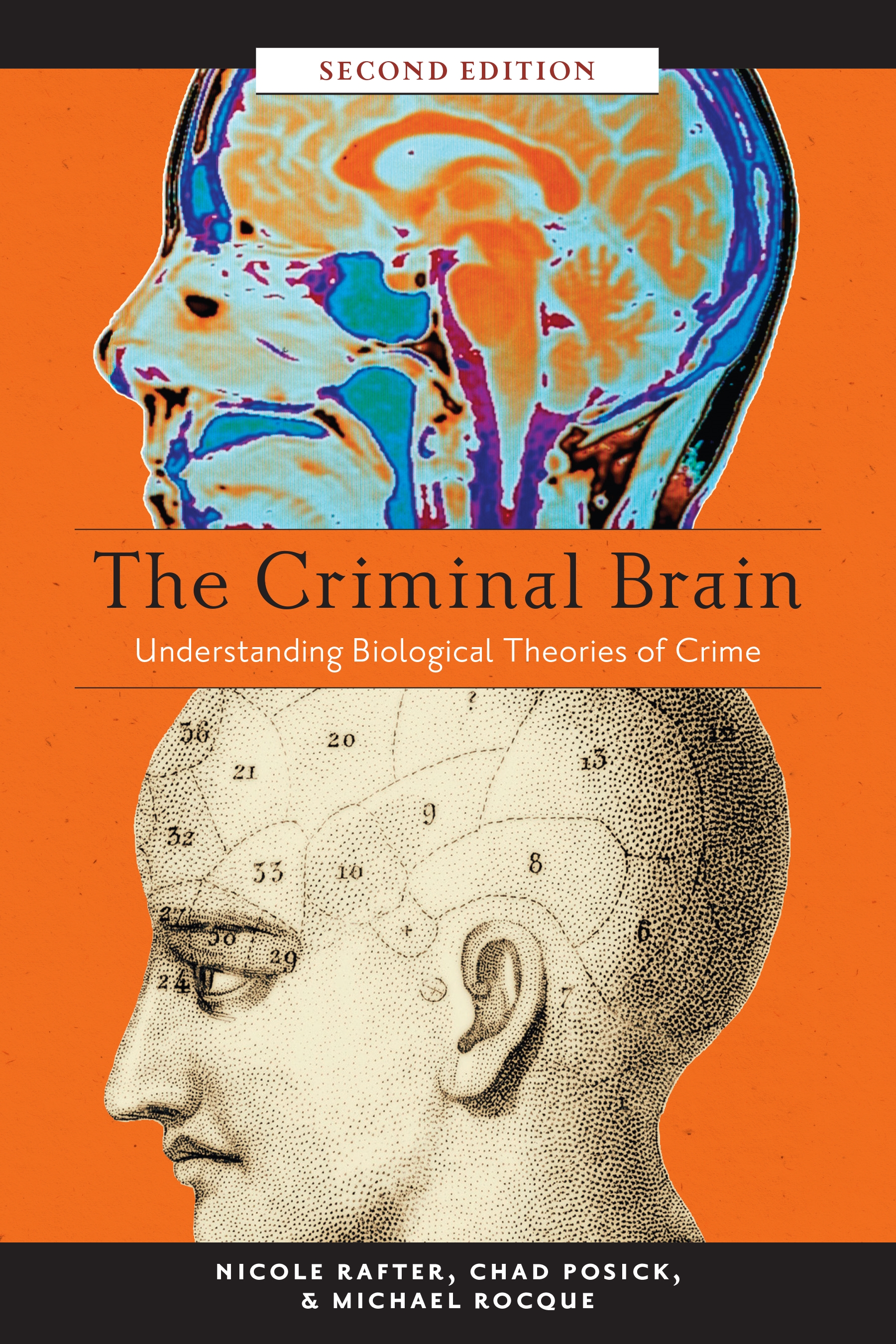 Second brain. Second Brain концепция. Biology Theories. Криминальный мозг. Building a second Brain book.