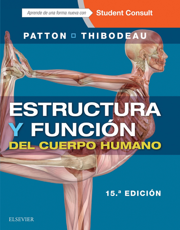 Estructura y función del cuerpo humano