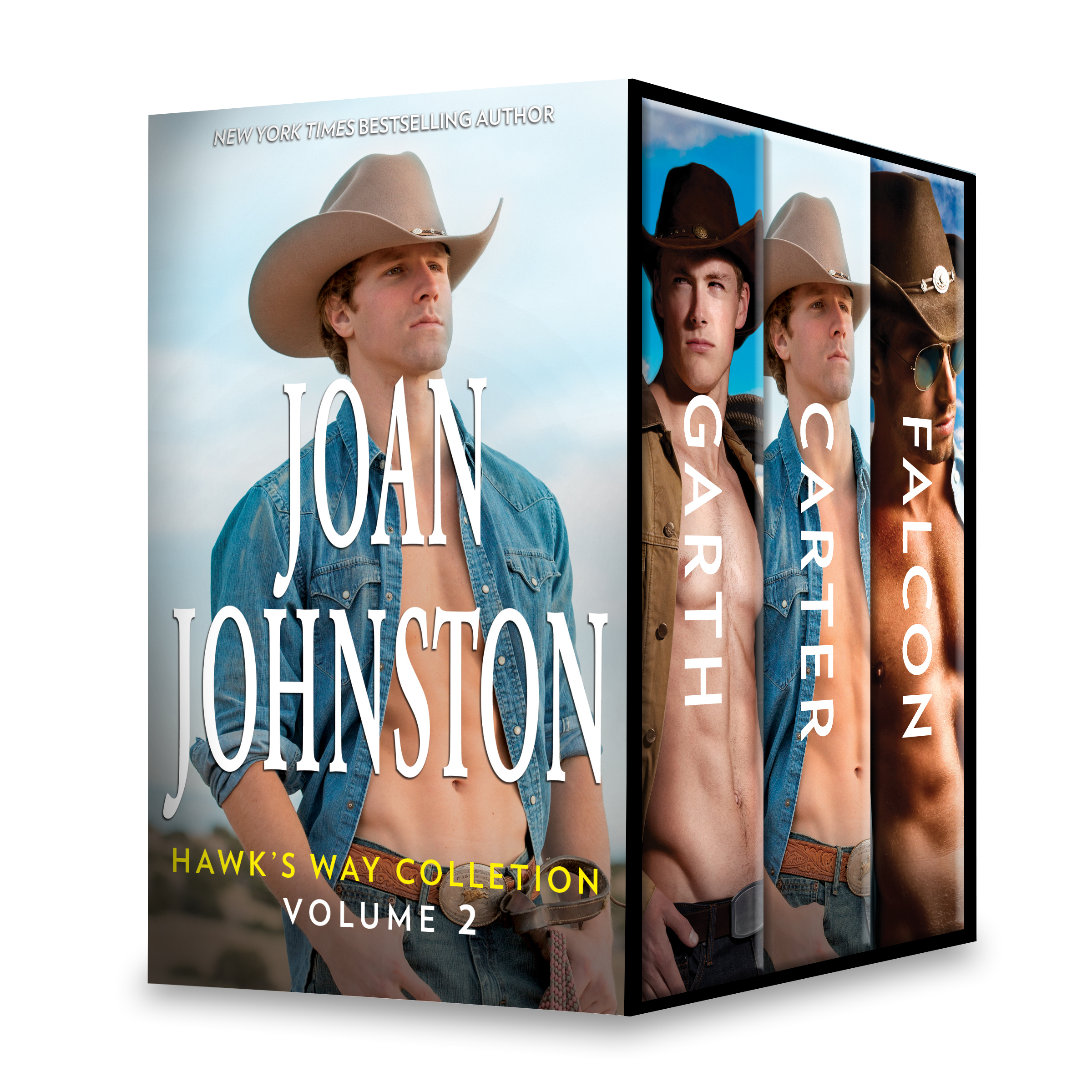 Joan Johnston Hawk's Way Collection Volume 2