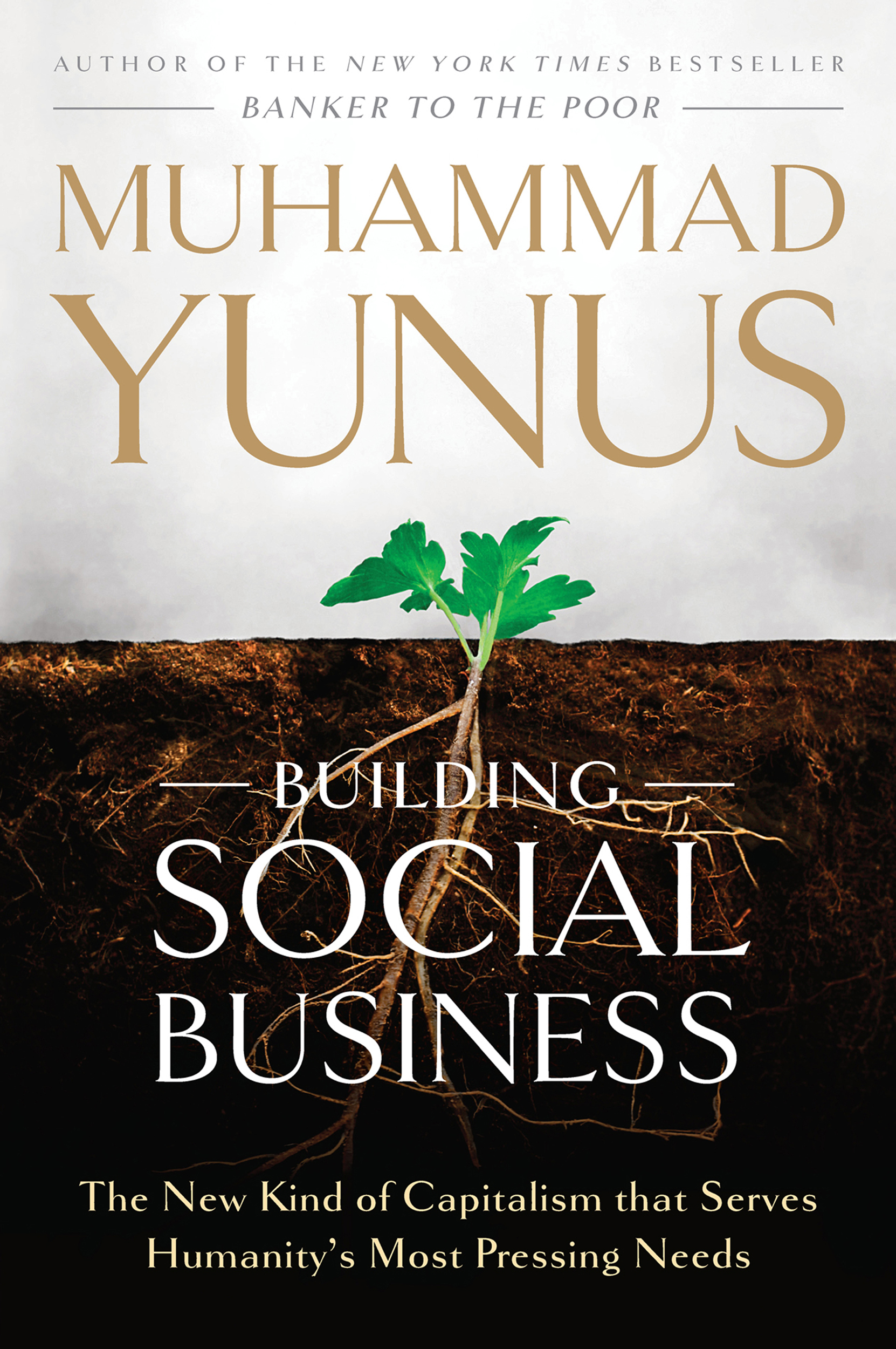 Building Social Business - <5